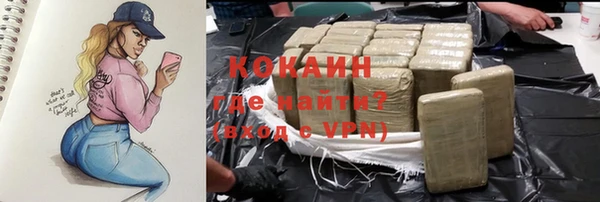 ГАЛЛЮЦИНОГЕННЫЕ ГРИБЫ Наволоки