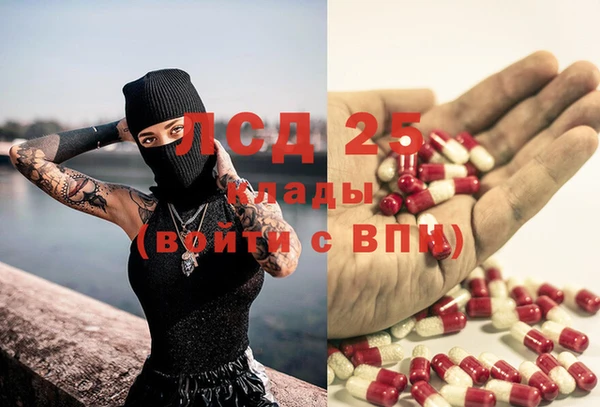 ГАЛЛЮЦИНОГЕННЫЕ ГРИБЫ Абдулино